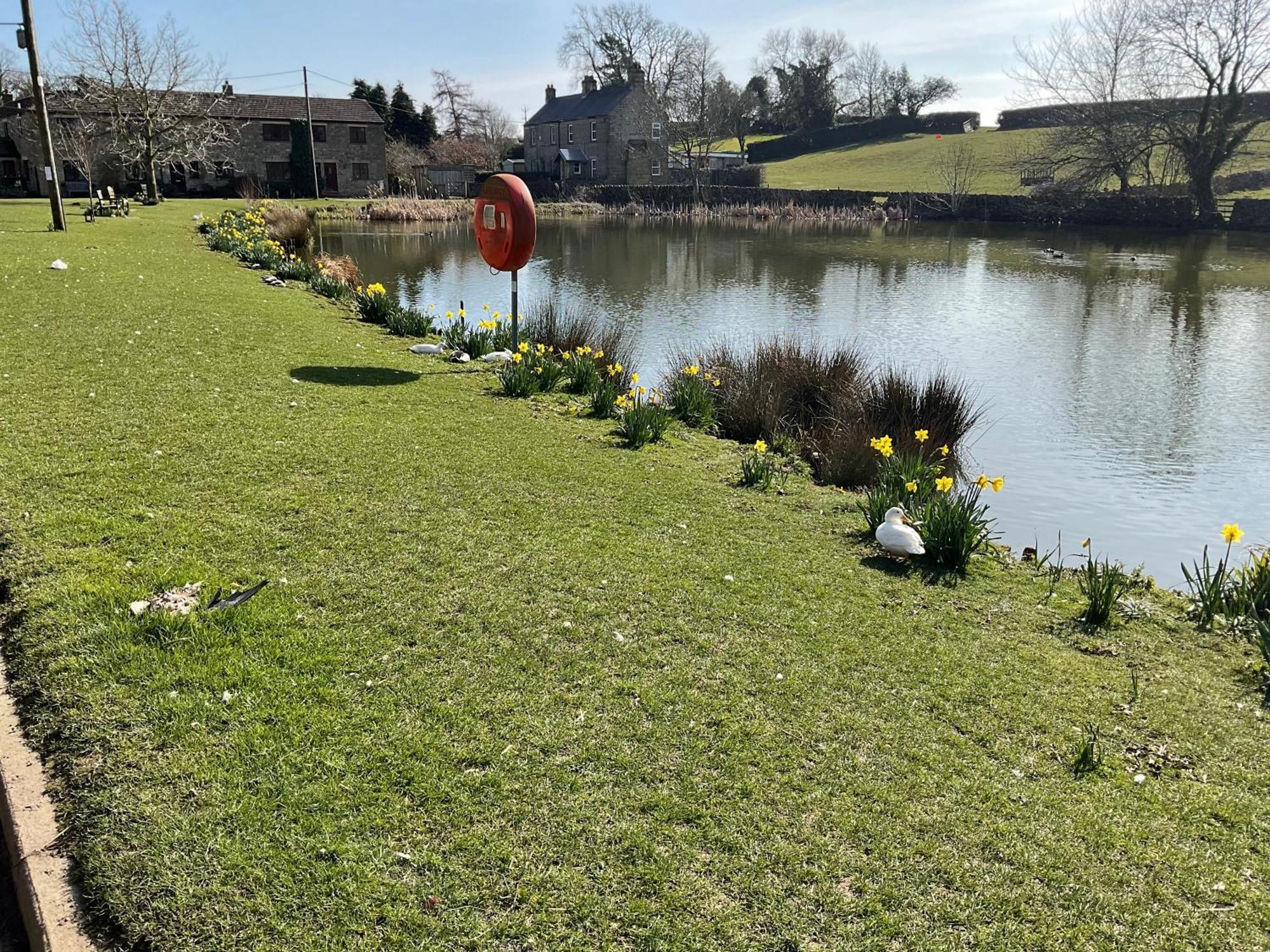 ריפון Lavender Cottage , Grewelthorpe , Nr Masham מראה חיצוני תמונה