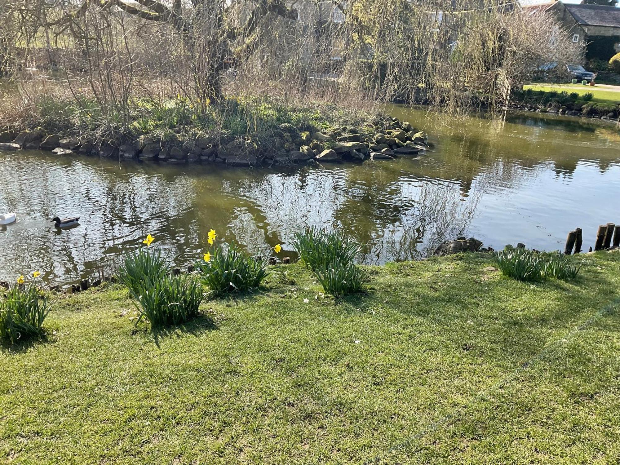 ריפון Lavender Cottage , Grewelthorpe , Nr Masham מראה חיצוני תמונה